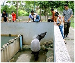 Dusit Zoo Bangkok