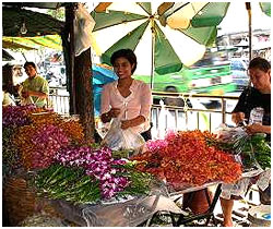 Pak Klong Talat