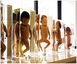 Siriraj Museum Bangkok